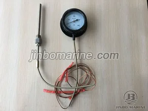 WTQ Gas Type Pressure Type Thermometer thumbnail 1