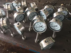 WTY Type Pressure Anti-Vibration Thermometer thumbnail 3