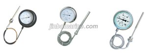 WTZ-280 Steam Type Pressure Type Thermometer