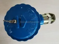 WZPK PT Temperature sensor 4