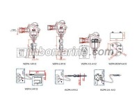 WZPK PT Temperature sensor