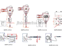 WZPK PT Temperature sensor 1