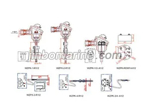 WZPK PT Temperature sensor thumbnail 1