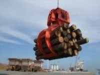 Wood Grab Bucket