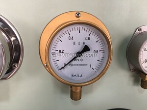 YC-100-T Brass Shell Pressure Gauges