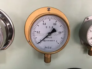 YC-100-T Brass Shell Pressure Gauges thumbnail 1