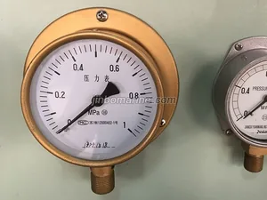 YC-100-T Brass Shell Pressure Gauges thumbnail 2
