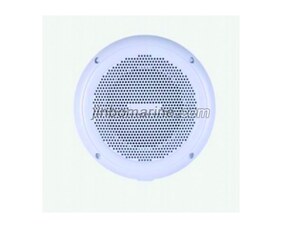 YDC-D Speaker