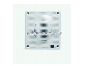 YDC-DF Speaker