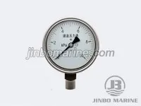 YE-100 BF Stainless Steel Capsule Pressure Gauge 2
