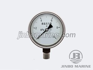 YE-100 BF Stainless Steel Capsule Pressure Gauge