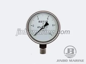 YE-100 BF Stainless Steel Capsule Pressure Gauge thumbnail 2