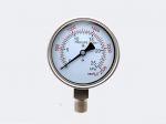 YE-100 BF Stainless Steel Capsule Pressure Gauge