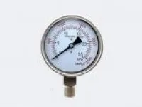YE-100 BF Stainless Steel Capsule Pressure Gauge 1