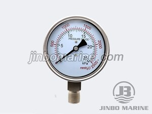 YE-100 BF Stainless Steel Capsule Pressure Gauge