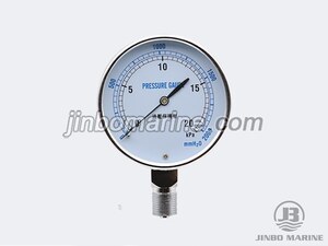 YE-75 Overpressure Protection Type Capsule Pressure Gauge