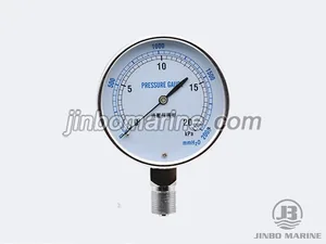 YE-75 Overpressure Protection Type Capsule Pressure Gauge thumbnail 2