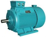 Y-H Series Three-phase Marine Motor