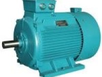 Y-H Series Three-phase Marine Motor