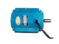 YT Series Totally-Enclosed Three-Phase Induction Motor 1