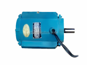YT Series Totally-Enclosed Three-Phase Induction Motor