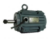 YT2-H Series Three Phase Marine Induction Motor For Ventilator