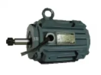 YT2-H Series Three Phase Marine Induction Motor For Ventilator 1