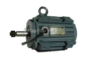 YT2-H Series Three Phase Marine Induction Motor For Ventilator