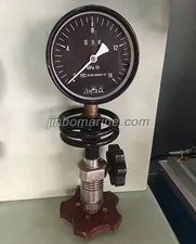 YZC Model Maximum Pressure Gauge thumbnail 3
