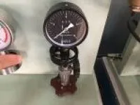 YZC Model Maximum Pressure Gauge 1