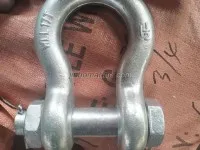 G2130 Bow Shackle 3