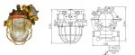 dF220-100 Incandescent Ex-proof Light