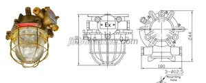 dF220-100 Incandescent Ex-proof Light thumbnail 1