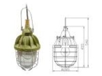 dF220-300T Ex-proof Portable Light