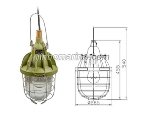 dF220-300T Ex-proof Portable Light thumbnail 1