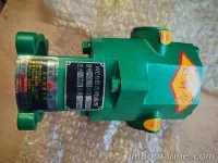 WCB-75 Conical Gear Oil Pump 2