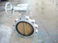 Lug Butterfly Valve 1