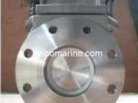 Marine Blind Valve 1