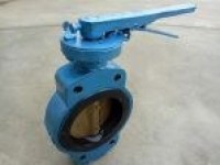 Marine Center Pivoted Hand Manual Wafer Butterfly Valve
