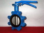 Marine Center Pivoted Manual Lug Butterfly Valve