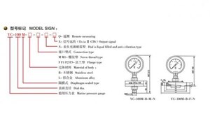 Marine Diaphragm Pressure Gauge YC-M series