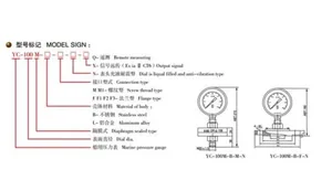 Marine Diaphragm Pressure Gauge YC-M series thumbnail 2
