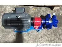 2CY5/0.33 Marine gear pump 2