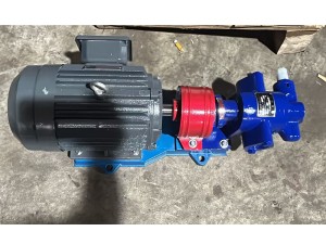 2CY5/0.33 Marine gear pump