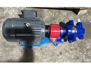 2CY5/0.33 Marine gear pump 2