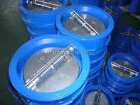 API Wafer Dual Plate Check Valve 1